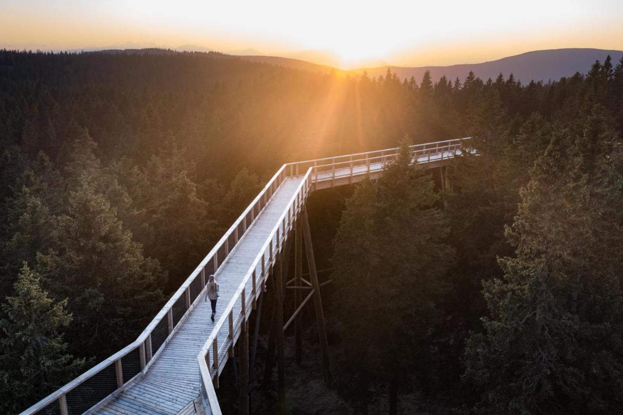 Pohorje Village Wellbeing Resort - Forest Apartments Videc Hocko Pohorje Exterior photo